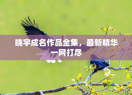 晓宇成名作品全集，最新精华一网打尽
