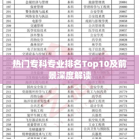热门专科专业排名Top10及前景深度解读