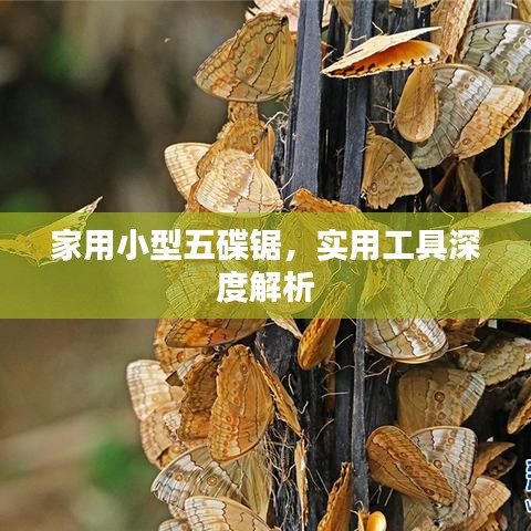 飞扬拨扈 第2页