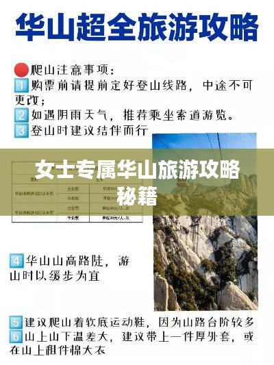 观往知来 第2页