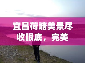 宜昌荷塘美景尽收眼底，完美旅游攻略