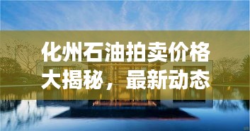 化州石油拍卖价格大揭秘，最新动态，超值优惠一网打尽！