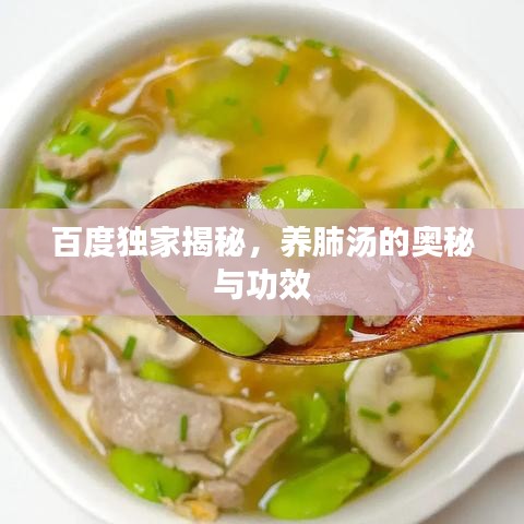 百度独家揭秘，养肺汤的奥秘与功效