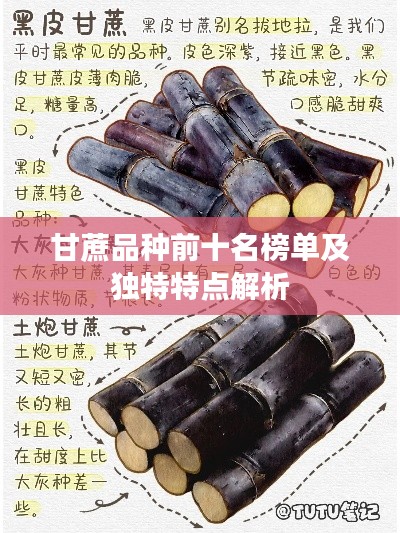 甘蔗品种前十名榜单及独特特点解析