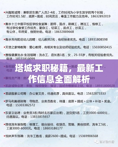塔城求职秘籍，最新工作信息全面解析