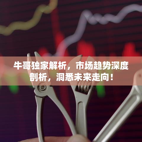 牛哥独家解析，市场趋势深度剖析，洞悉未来走向！