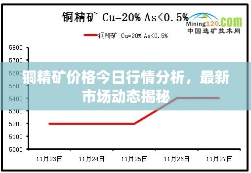 铜精矿价格今日行情分析，最新市场动态揭秘