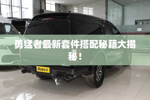 勇猛者最新套件搭配秘籍大揭秘！
