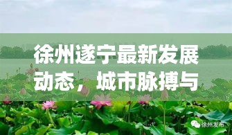 徐州遂宁最新发展动态，城市脉搏与民生改善同步前行
