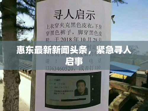 惠东最新新闻头条，紧急寻人启事