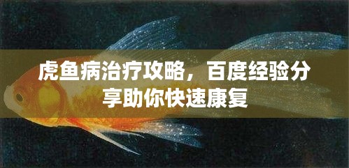 虎鱼病治疗攻略，百度经验分享助你快速康复