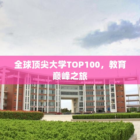 全球顶尖大学TOP100，教育巅峰之旅