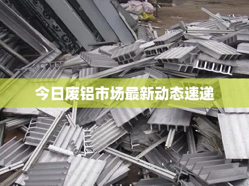 今日废铝市场最新动态速递
