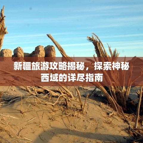 新疆旅游攻略揭秘，探索神秘西域的详尽指南