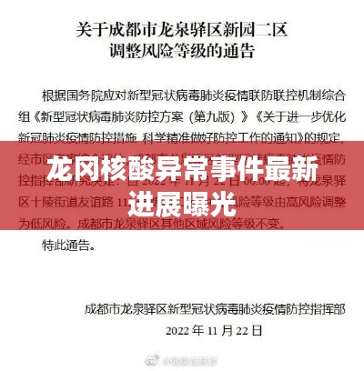 龙冈核酸异常事件最新进展曝光