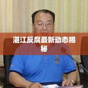 湛江反腐最新动态揭秘