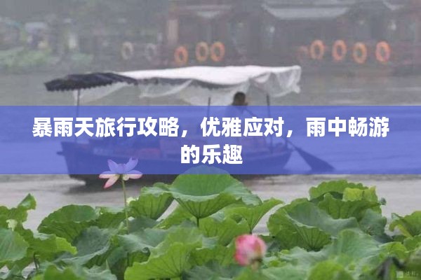 暴雨天旅行攻略，优雅应对，雨中畅游的乐趣