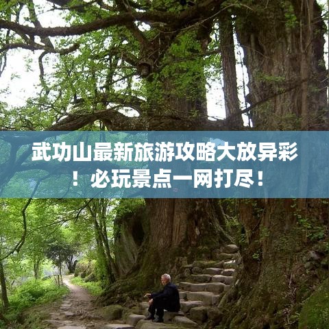 武功山最新旅游攻略大放异彩！必玩景点一网打尽！