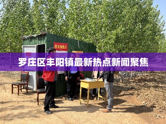 罗庄区丰阳镇最新热点新闻聚焦