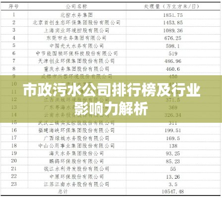 市政污水公司排行榜及行业影响力解析