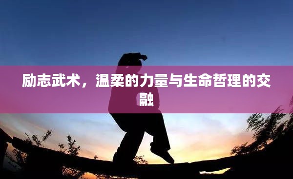 励志武术，温柔的力量与生命哲理的交融