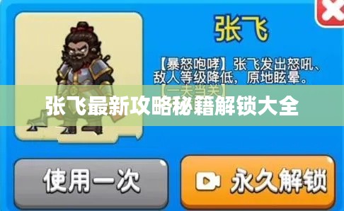 张飞最新攻略秘籍解锁大全