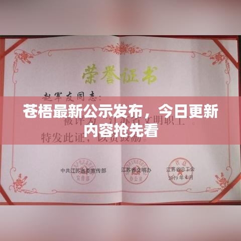 苍梧最新公示发布，今日更新内容抢先看
