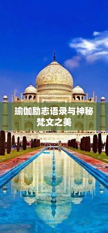 无影无踪 第2页