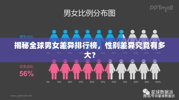 揭秘全球男女差异排行榜，性别差异究竟有多大？