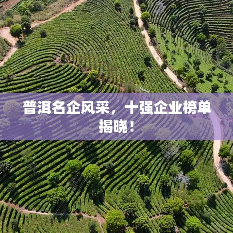 普洱名企风采，十强企业榜单揭晓！
