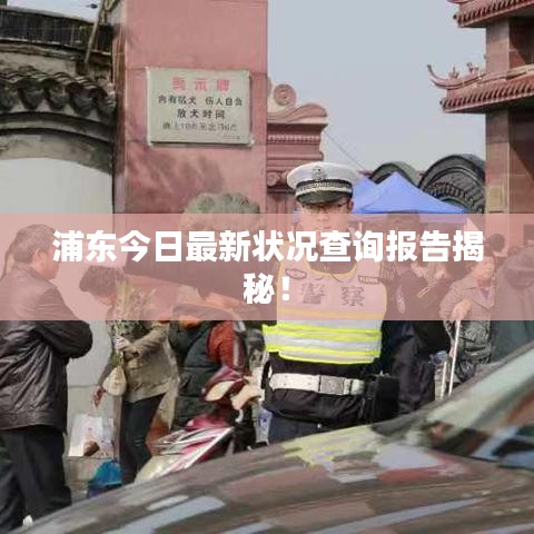 浦东今日最新状况查询报告揭秘！