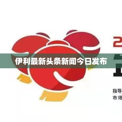 伊利最新头条新闻今日发布