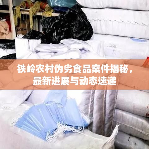 铁岭农村伪劣食品案件揭秘，最新进展与动态速递