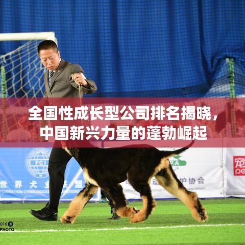 全国性成长型公司排名揭晓，中国新兴力量的蓬勃崛起