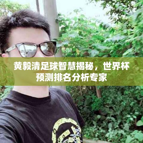 黄毅清足球智慧揭秘，世界杯预测排名分析专家