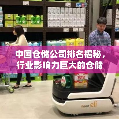 中国仓储公司排名揭秘，行业影响力巨大的仓储巨头榜单揭晓！