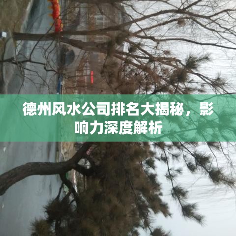 天潢贵胄 第2页