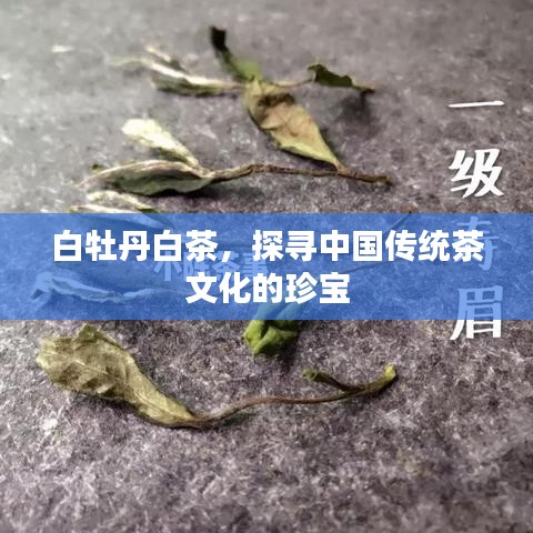 白牡丹白茶，探寻中国传统茶文化的珍宝
