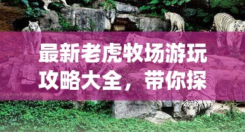 最新老虎牧场游玩攻略大全，带你探秘野生动物世界！
