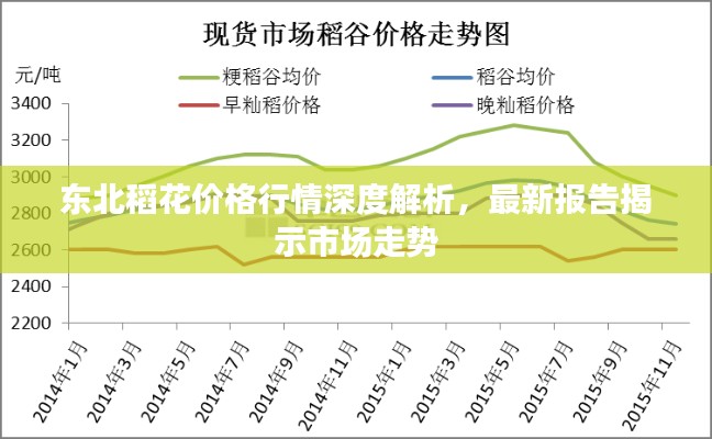 东北稻花价格行情深度解析，最新报告揭示市场走势