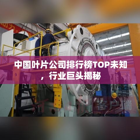 中国叶片公司排行榜TOP未知，行业巨头揭秘