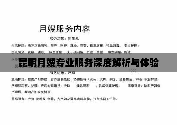 昆明月嫂专业服务深度解析与体验