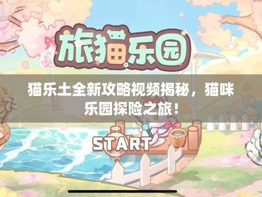 猫乐土全新攻略视频揭秘，猫咪乐园探险之旅！