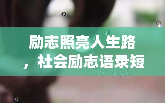 励志照亮人生路，社会励志语录短视频点燃激情与希望