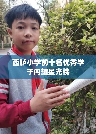 西胪小学前十名优秀学子闪耀星光榜