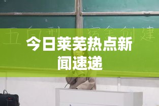 今日莱芜热点新闻速递