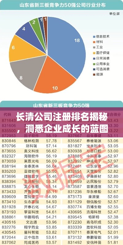 长清公司注册排名揭秘，洞悉企业成长的蓝图之路