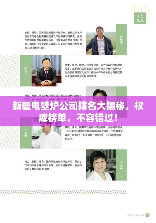 新疆电壁炉公司排名大揭秘，权威榜单，不容错过！