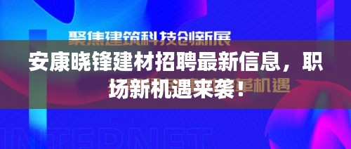 安康晓锋建材招聘最新信息，职场新机遇来袭！