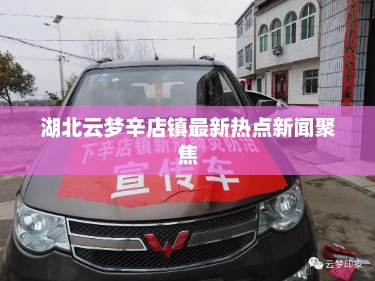 湖北云梦辛店镇最新热点新闻聚焦